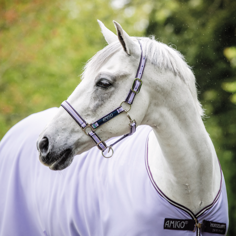 Amigo Jersey Cooler - Lavender/Plum-1